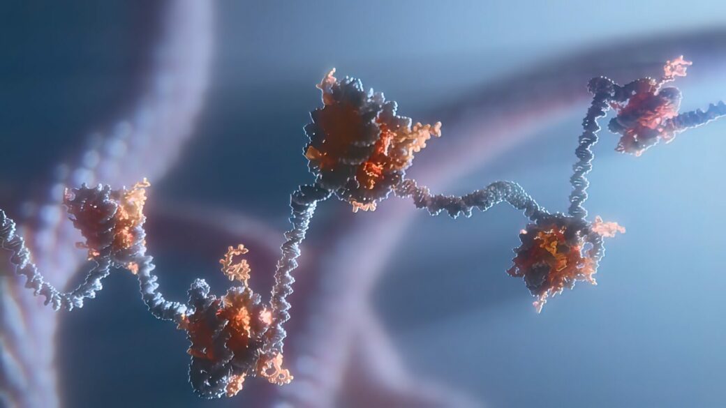 Fastening enzyme seals the deal in genome repair - KAUST Discovery