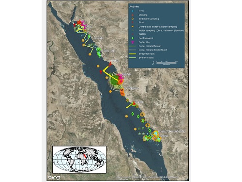 Data from research conducted close to KAUST is combined with data collected in more remote parts to build a comprehensive picture of the Red Sea.