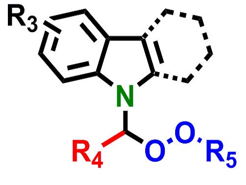 The crucial chemical structure at the heart of the potential new drugs.