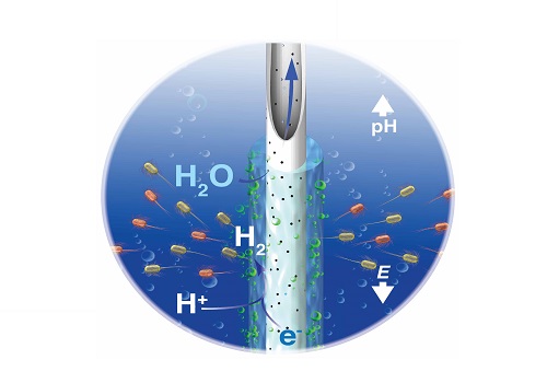 A new wastewater treatment system uses hollow fiber membranes coated with graphene to filter impurities from water and create hydrogen fuel.