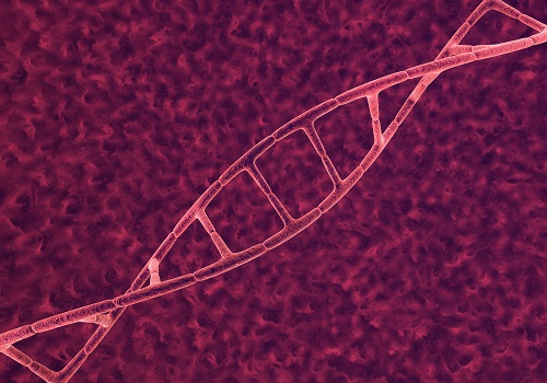 The review surveyed more than 30 computational tools and methods for identifying regulatory elements known as enhancers.