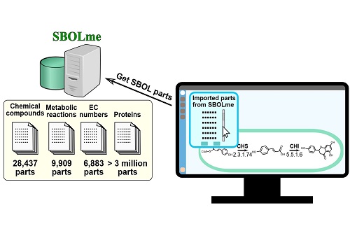 An SBOL-compliant natural product biosynthesis design tool