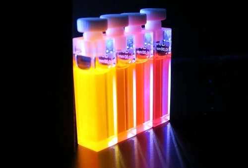 Fluorescence of the conjugated polymers in solution.