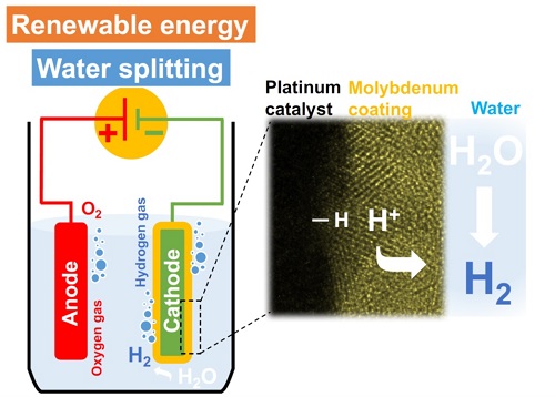 A high-resolution electron microscope image (right) of the platinum electrocatalytic layer coated with molybdenum. The platinum catalyzes the hydrogen-evolution reaction (left) in acidic medium from protons in the electrolyte while the molybdenum layer inhibits water-forming reactions.