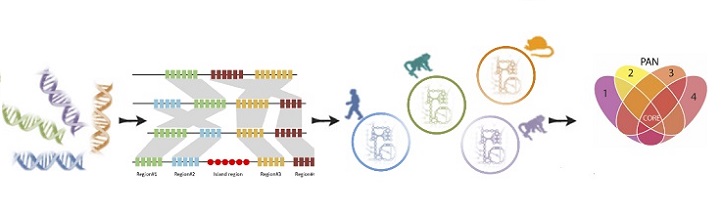 Step three of the process involved a multiple-species comparison.