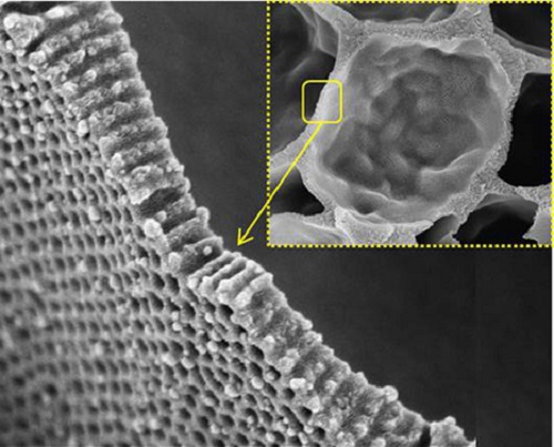 A cross section of SEM images show that the spherical compartments are interconnected through nanochannels of 15 nm in diameter.