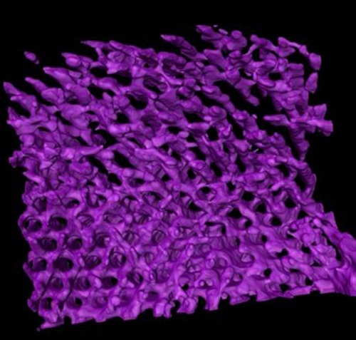 A TEM tomograph shows a 3D surface rendering of a thin section of the film.