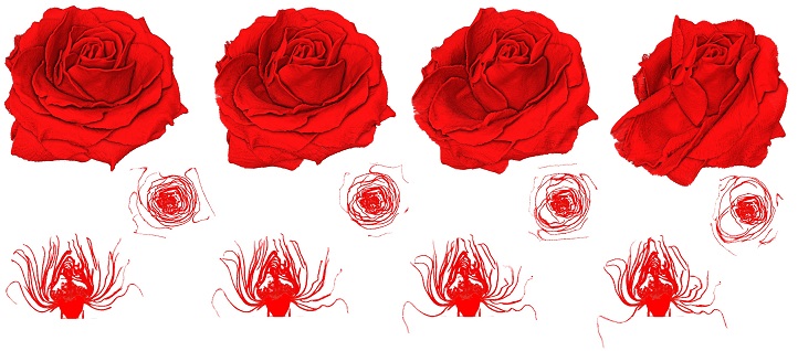 The deformation of the object over time can then be reconstructed with high fidelity. This method was used to capture a wide range of dynamic phenomena, such as dehydration and rehydration of organic objects, rising dough and fluid flows.