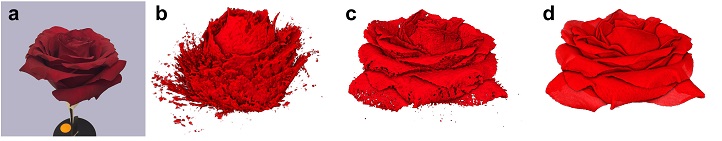 Conventional capture methods result in artifacts and partial surfaces (b). This is much improved with the new capture method (c). Then, by propagating information forward and backward in time using a flow field to encode the deformation, a vastly improved reconstruction can be obtained for a given time point (d).