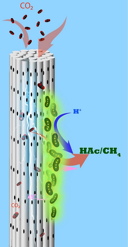 Microbes growing on porous cylindrical electrodes suck in CO2 and turn it into useful chemicals such as acetate and methane.