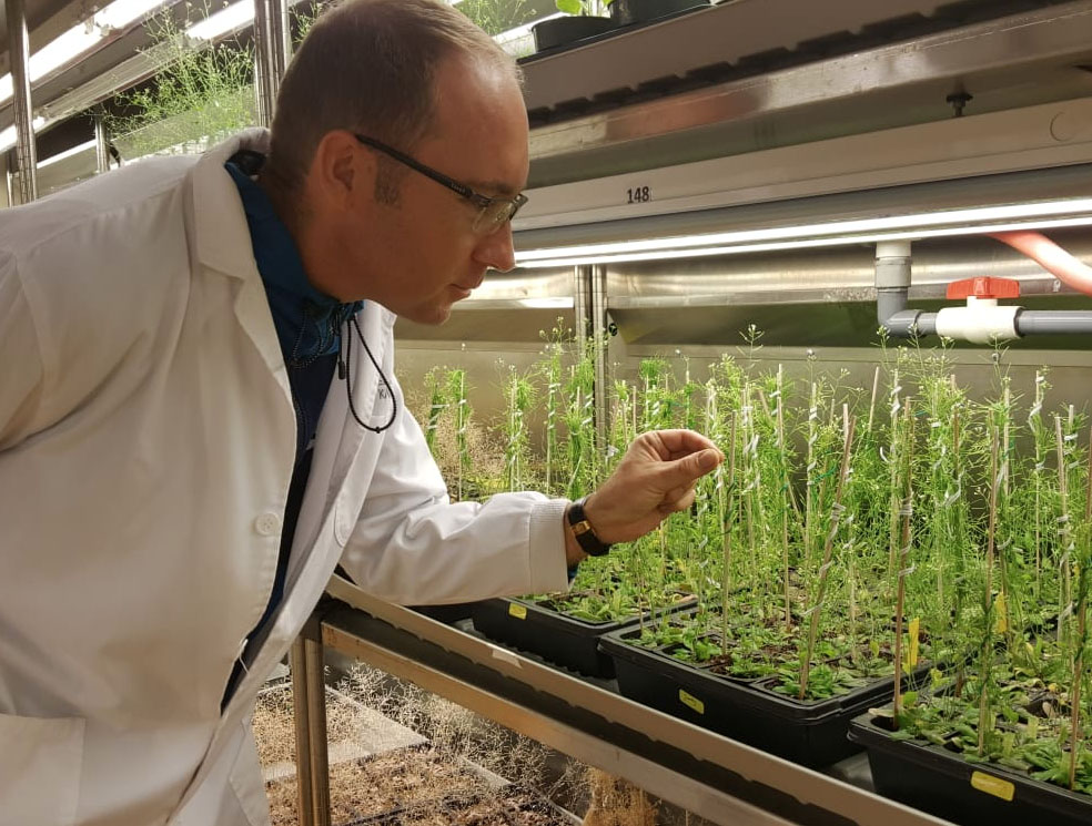 Ronny Völz tends to his Arabidopsis plants.