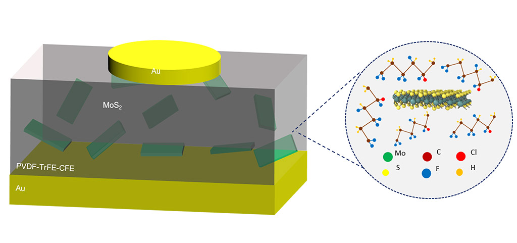 A single-component fractional-order capacitor made using a molybdenum-disulfide polymer composite operates over a much broader range of frequencies than those fabricated previously.