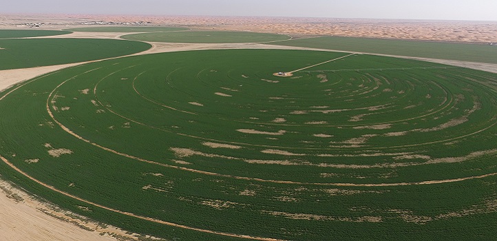 One of the fields in the study zone.