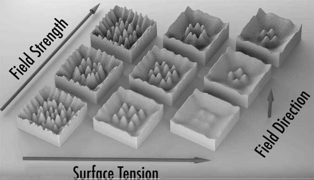 If a magnetic field is applied, the ferrofluids start to form their characteristic spikes.