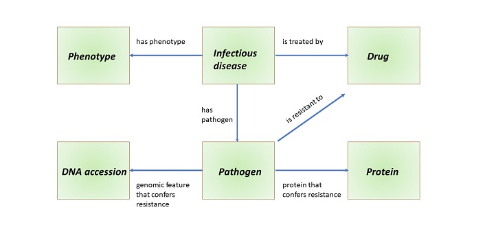 Schematic overview of the types of entities and their relationships to each other in the databased PathoPhenDB.