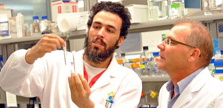 Mohamed Abdelaziz (left) and Heribert Hirt aim to improve the salt tolerance of crop plants to enable the use of saline water for irrigation.