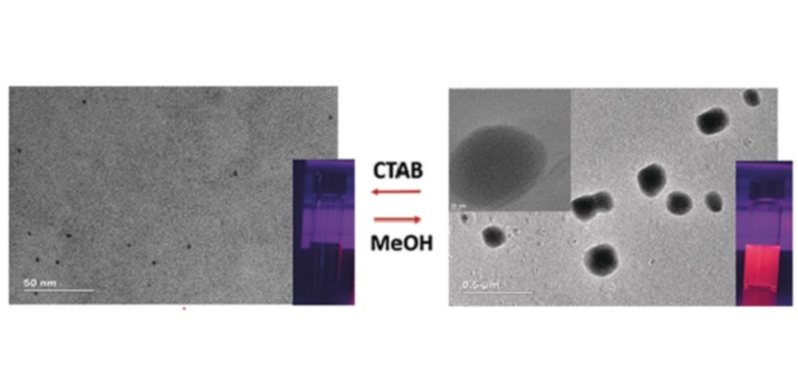 The nanoclusters form round aggregates in the presence of cetrimonium bromide through reversible host-guest interactions.