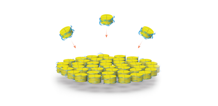 Histones and DNA self-assemble into nanoparticles and cross-linked complexes.