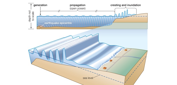 A tsunami passes from deep water onto the continental shelf, becoming higher as the shelf becomes shallower.