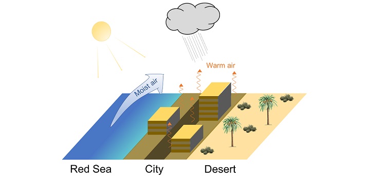 The urban heat island effect causes increasing rainfall over Jeddah. In the city, roads and concrete canyons absorb sunlight; urban surfaces enhance turbulence; warm air rising from the city may collide with moist air from the Red Sea to increase urban rain by 26 percent more than the desert.