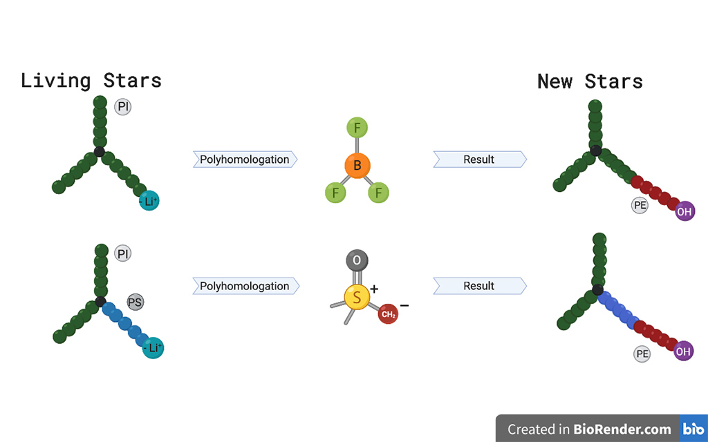 The team are creating various miktoarm star polymers using a boron reagent to bond additional polymer arms together.