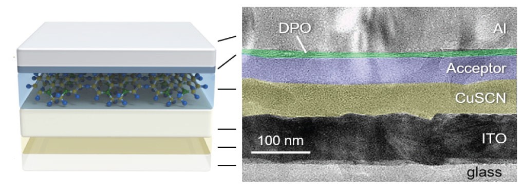 Schematic of the device architecture (left) and the cross-sectional transmission electron microscopy image (right) of a CuSCN/acceptor bilayer solar cell designed in KAUST.