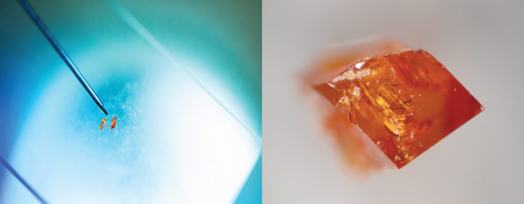 Microscope images of the crystals formed by isomers sticking to the surfaces of the molecular cages designed by KAUST scientists.