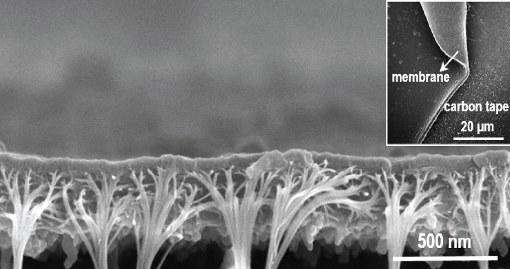 The innovative polymer membrane developed by KAUST scientists has great potential in many energy- and environment-related ion separation processes.