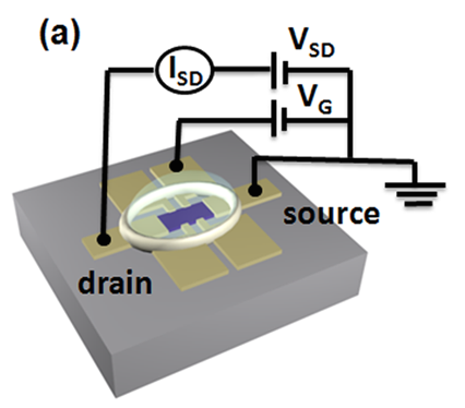 Schematic experimental setup of the electric double layer transistor device with the PCSMO film as the channel.