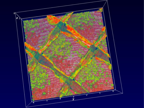 The computer imaging technology at KAUST allows TorOve Leiknes and his team to monitor the build up of biofilms on membrane meshes in great detail. Here, the areas in bright red indicate where the highest levels of biofilm have accumulated.