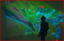 Observation and explorative analysis of the 3D dataset in the Visualization Lab at KAUST