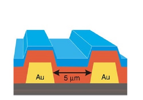 The photoresistor contains thin layers of pentacene (red) and buckminsterfullerene (C60, blue) on top of a gold electrode (Au, yellow).