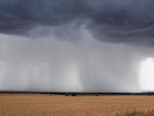 A statistical model developed by KAUST researchers enables the generation of realistic rainfall patterns that can help inform agricultural and land-use management.