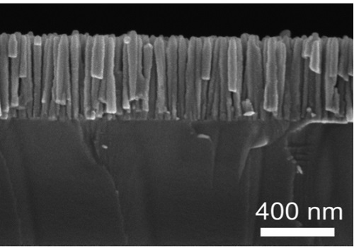 Image 2. Nanowires of indium gallium nitride (InGaN) on a silicon substrate can be used in applications such as laser diodes and photovoltaic devices.