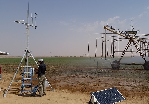 KAUST researchers work to find ways of monitoring irrigation to help farmers produce good quality high crop yields.