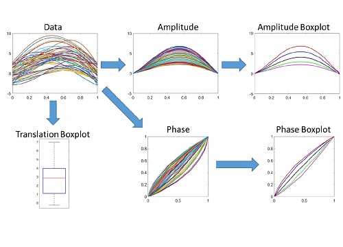 A new box-plot method makes sense of functional data (top left) by deriving summarized statistical functions for amplitude (top right) and phase (bottom right) along with a conventional box-plot for translation (bottom left).