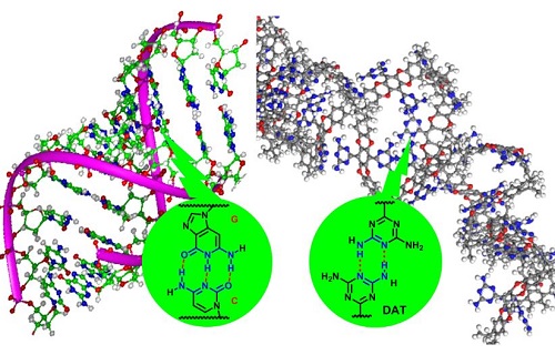 Hydrogen bonding in DNA (left) and between DNA-like functional groups in the adsorbent (right)