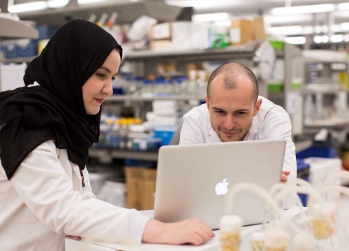 Imane Boudellioua and Robert Hoehndorf developed a tool that may help find the genetic cause of some "mystery" illnesses.