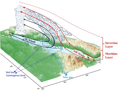 Vertical structure of the winter wind circulation over the Red Sea depicts the Red Sea Convergence Zone and the transport of moisture to the northern regions.