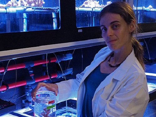 Claudia Pogoreutz in the KAUST Coastal and Marine Resources Core Lab; the team’s experiments show that corals suffer bleaching after spending time in a sugar-enriched environment even without the influence of heat or light stress.