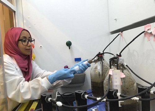 Nada Al-Jassim and coworkers conducted experiments to verify whether solar irradiation can be used to kill E.coli strains in wastewater.