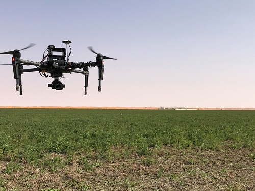 A quadcopter hovers above a paddock.  A practical outcome of this technology is affordable, farm-scale aerial systems that offer real time monitoring of crops for farmers.