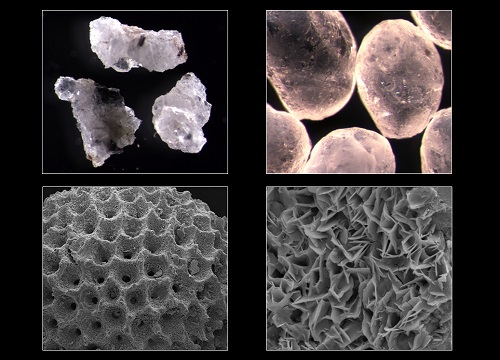 The remarkable range of sizes and shapes found in soil particles has been captured in the new classification system.