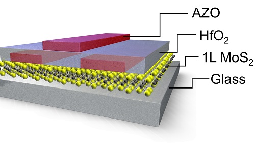 A fully transparent thin-film transistor consisting of a molybdenum sulphide (MoS2) monolayer; hafnium dioxide (HfO2), which is used for coating; and aluminum-doped zinc oxide (AZO) contacts.