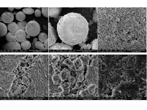 SEM images of the porous surface at increasing microscopy strength (from top left).