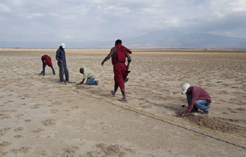 Local Maasai staff lay out the geophones, a crucial piece of equipment in seismic imaging of the Olduvai Basin.