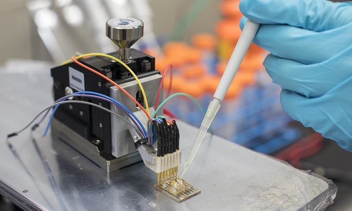 KAUST researchers have developed a biosensor that can be adapted in a micron-scale transistor configuration to detect any metabolite of interest.
