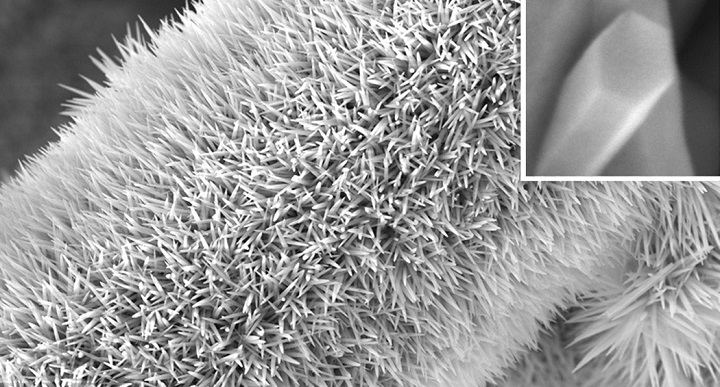 Image 1: A carbon fiber covered with a spiky forest of NiCoHC nanowires.