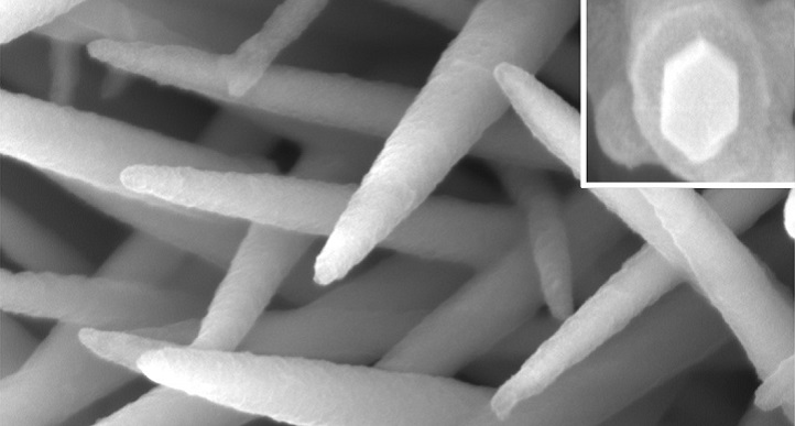 Image 2: Close ups of the nanowires confirm they have been coated with a thin organic layer.