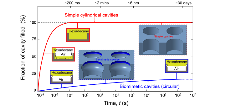 Biomimetic cavities immersed in hexadecane retained air 100 million times longer than simple cylindrical cavities.